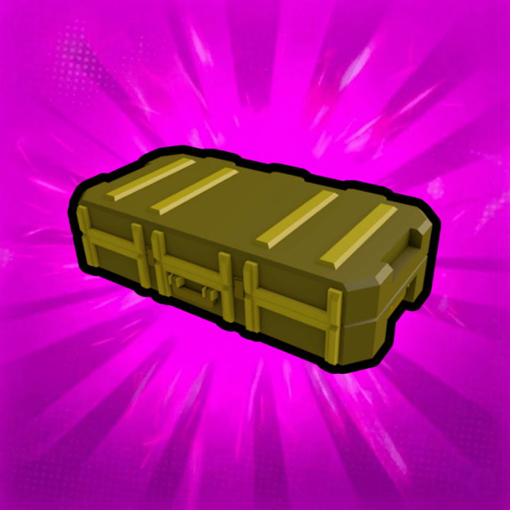 3x Skin Case 2